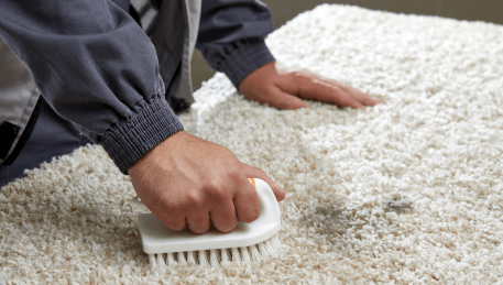Professional Rug Cleaning Mulgrave